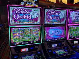 Dashboard multi-olahraga gg999 apk menampilkan jadwal Liga 1 dan pasar berita